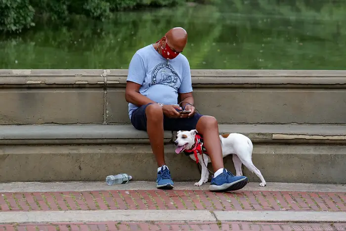 A photo of a man and his dog in central park